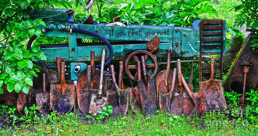 If you rest you rust Photograph by Diane E Berry