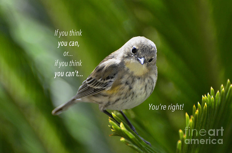 If You Think You Can - Henry Ford Photograph by Debby Pueschel