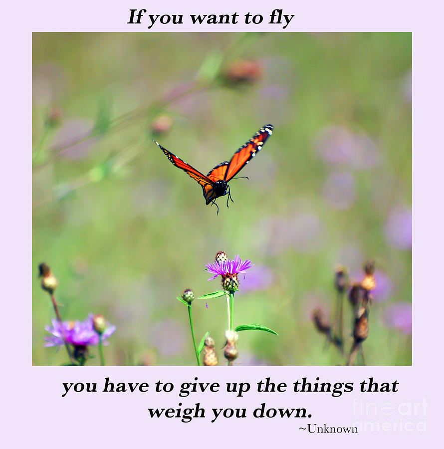 If You Want To Fly... Photograph