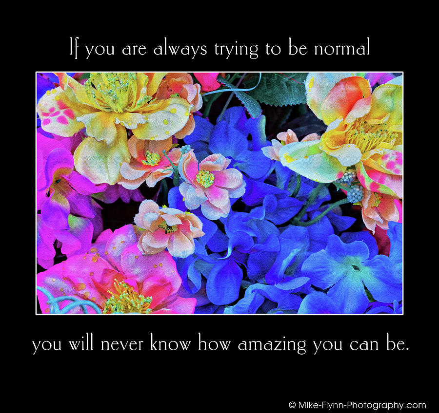 If Youre Always Trying to Be Normal Photograph by Mike Flynn