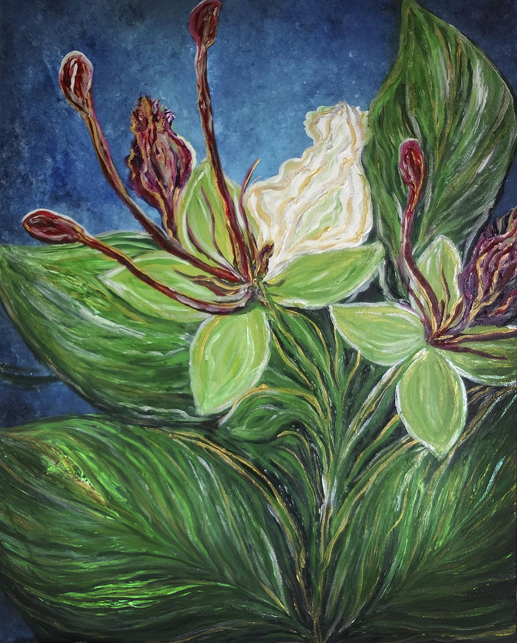 Ifit Flower Guam Painting by Michelle Pier