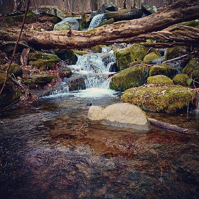 Nature Photograph - Instagram Photo #4 by Joshua Yancey