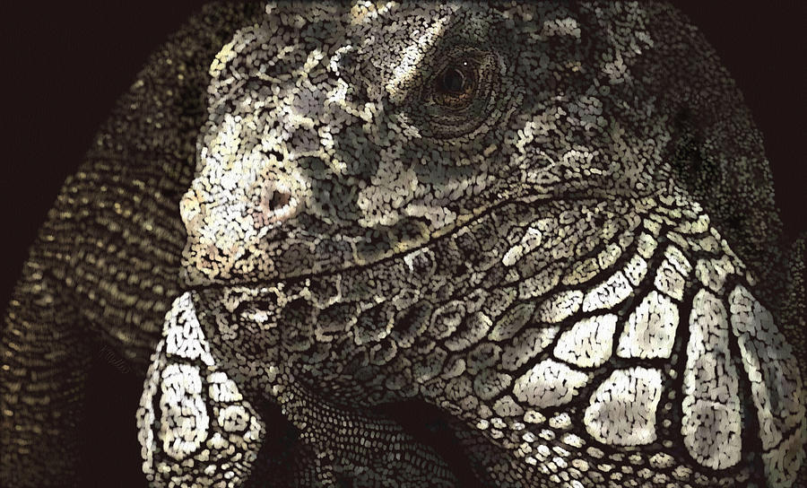 Iguana Pastel by Kathie Miller
