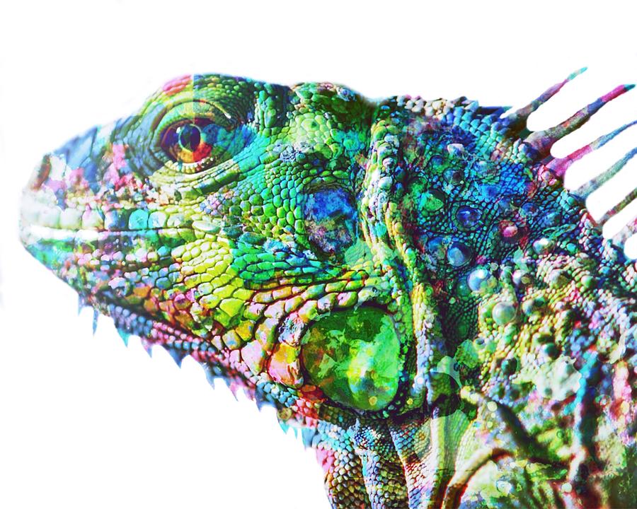 Iguana Painting by Mark Taylor