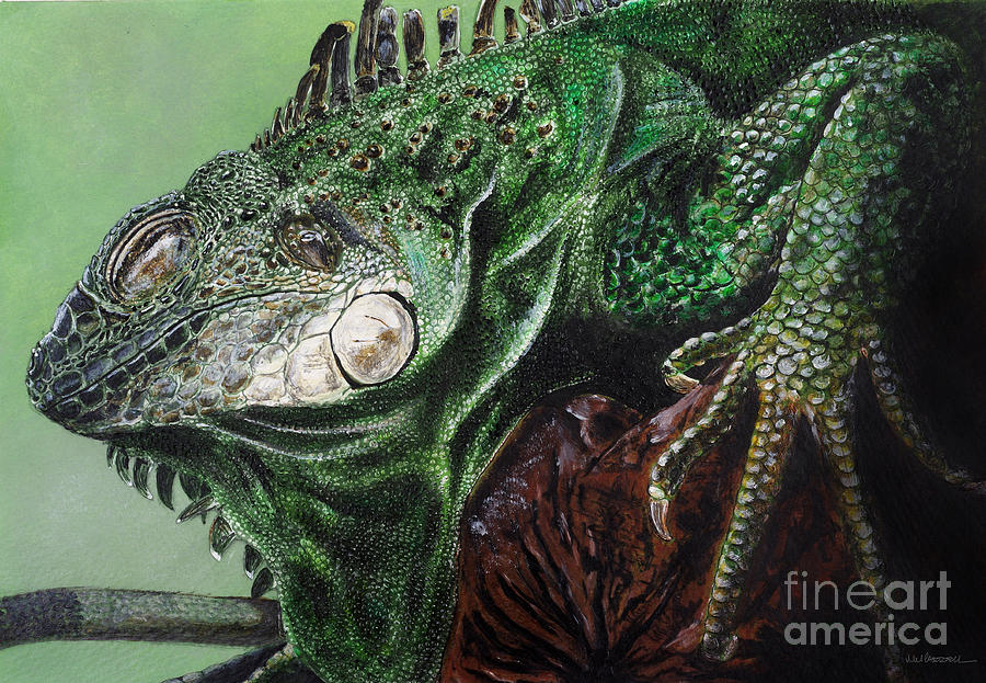 Lizard Painting - Iguana by Monica Carrell Lizard Painting - Iguana by Monica Carrell