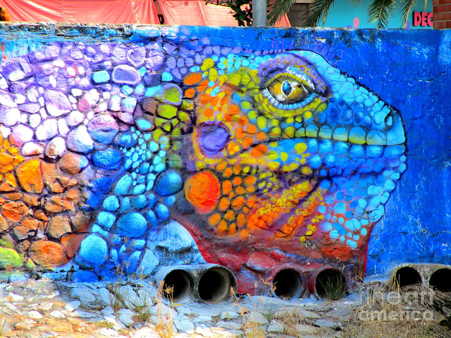 iguana mural