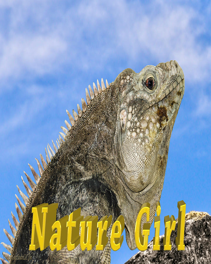 Iguana Nature Girl Photograph by LeeAnn McLaneGoetz McLaneGoetzStudioLLCcom
