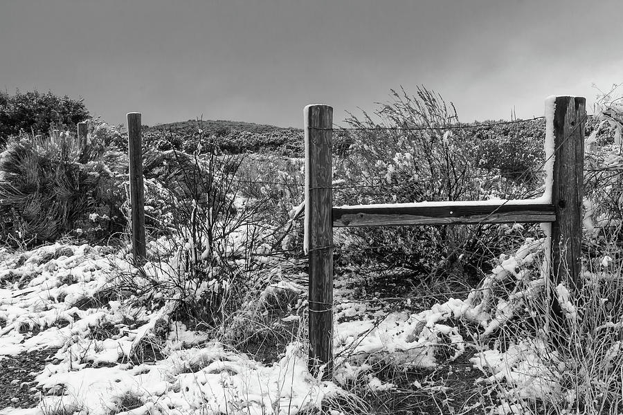 Winter Photograph - IH Black and White by Scott Campbell