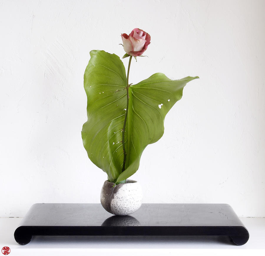 Ikebana-017 Photograph by Zen-Images Ikebana Flower Art by Baiko - Fine ...