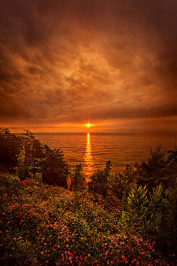 Ill Dream of You Again Photograph by Phil Koch