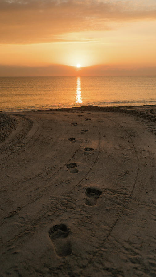 Ill Follow The Sun Delray Beach Florida Photograph by Lawrence S Richardson Jr