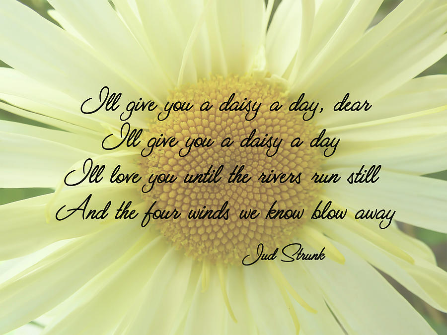 Ill Give You A Daisy A Day Dear Photograph by Leslie Montgomery