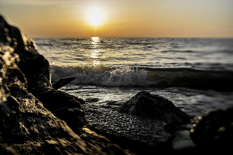 Illinois Beach State park at sunrise Photograph by Sven Brogren