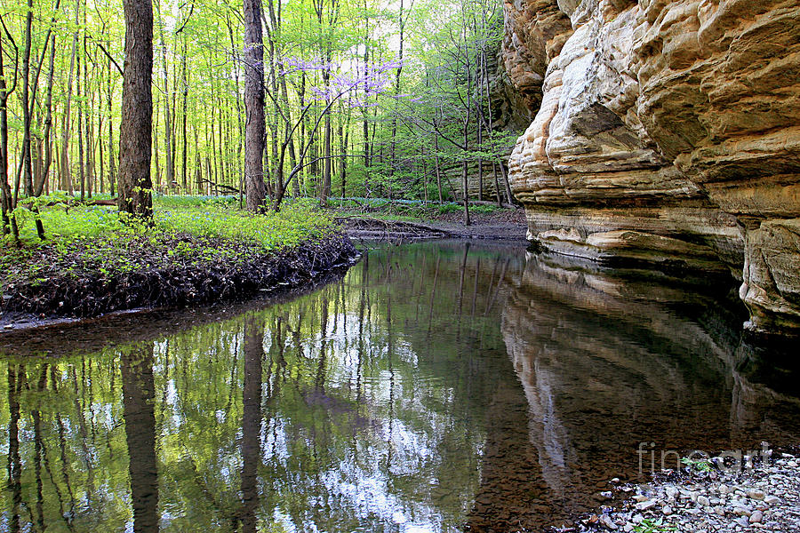 Illinois Canyon In Spring Starved Rock State Park Photograph by Paula Guttilla