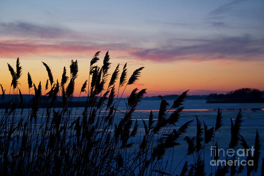 Illinois River Winter Sunset Photograph by Paula Guttilla