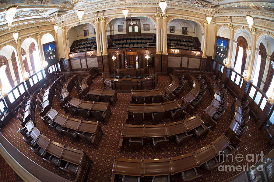 Illinois Senate in Session Photograph by David Bearden