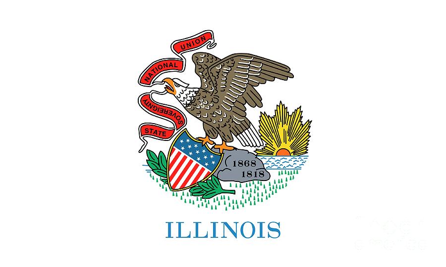 Illinois state flag Painting by American School