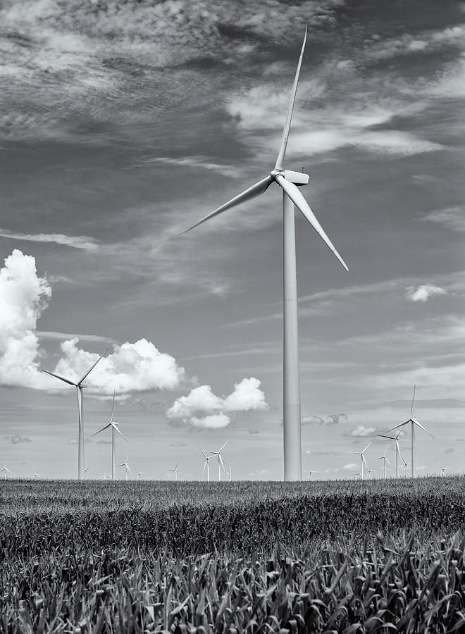 Illinois Wind Turbines Black and White Photograph by Matt Hammerstein