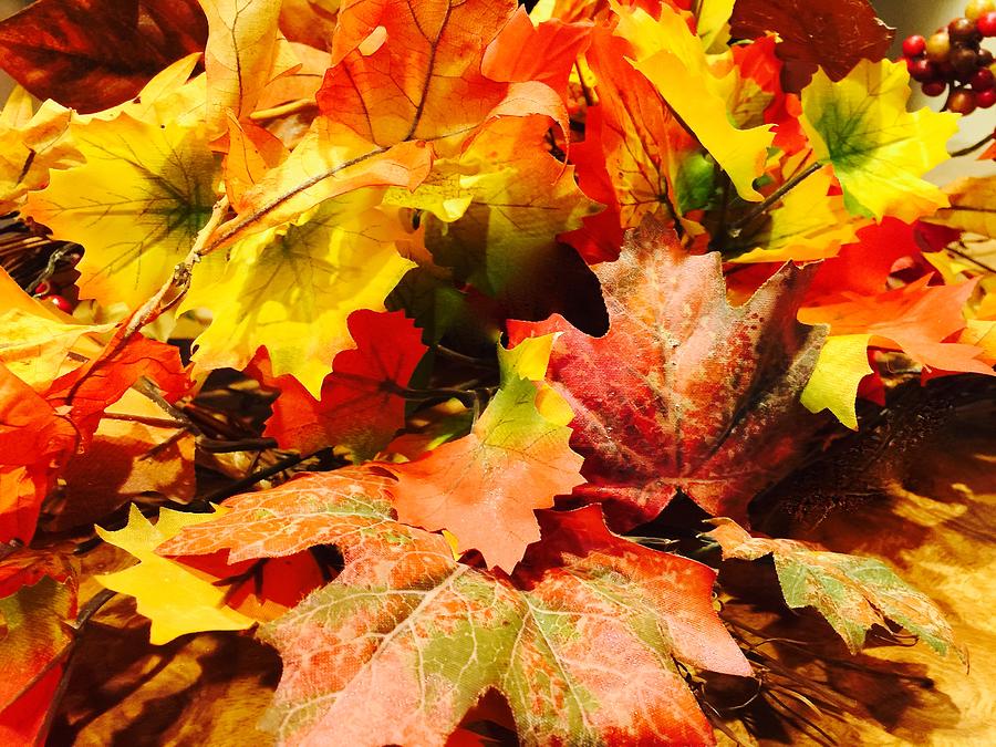 Fall Photograph - Illuminated Autumn by Trish  Hernandez