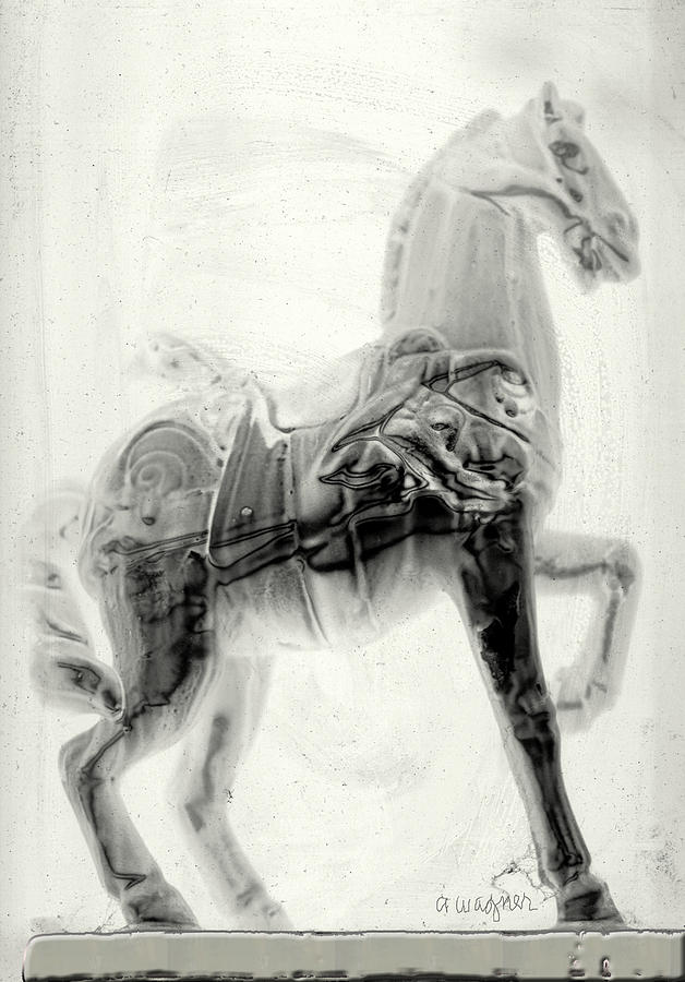 Illusion Of A Horse Digital Art by Arline Wagner