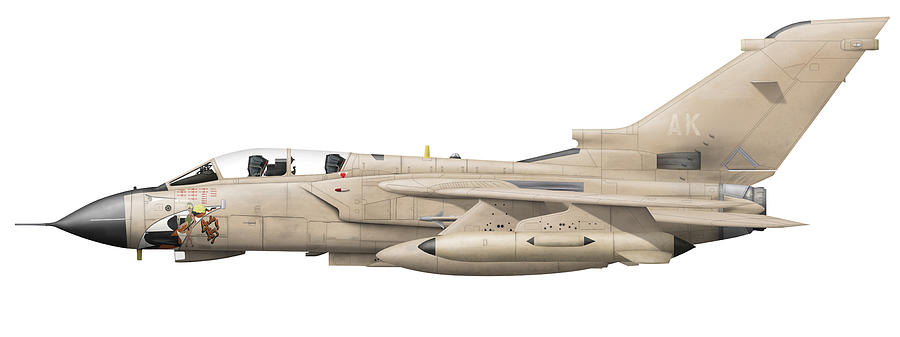 Illustration Of A Panavia Tornado Gr1 Digital Art by Chris Sandham-Bailey