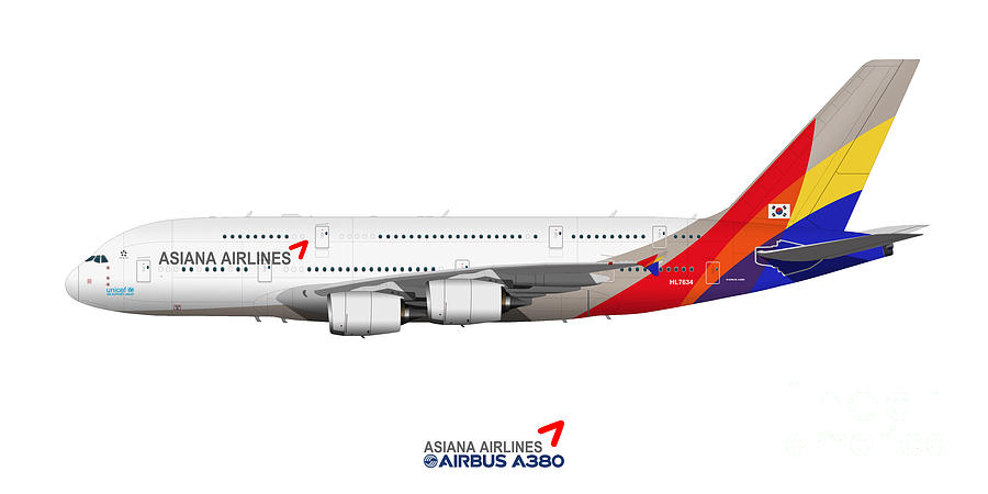 Airplane Digital Art - Illustration of Asiana Airlines Airbus A380 by Steve H Clark Photography