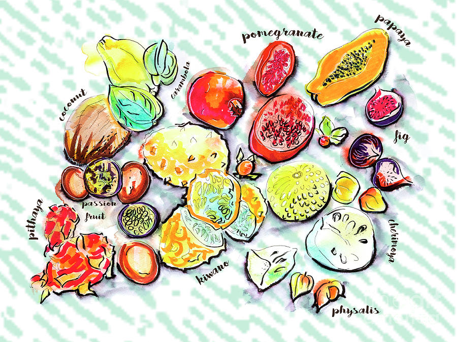 Illustration Of Exotic Fruits Drawing by Ariadna De Raadt