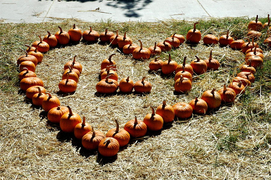 ILY Pumpkin Heart Photograph by Teresa Blanton