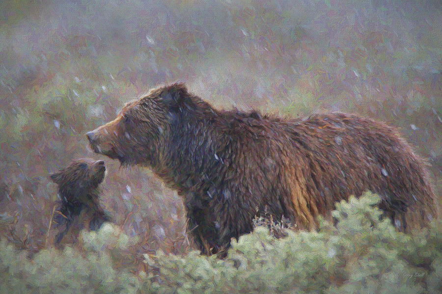 Yellowstone National Park Digital Art - Im Cold Mom by Gerry Sibell