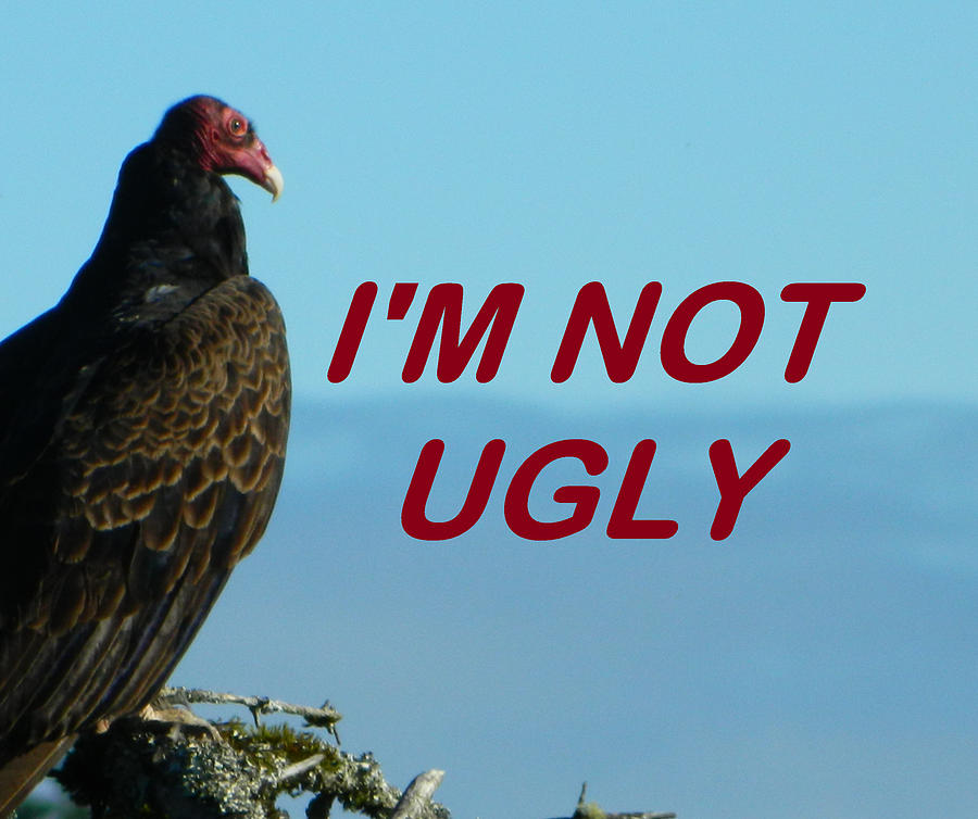 Im Not Ugly 2 Photograph