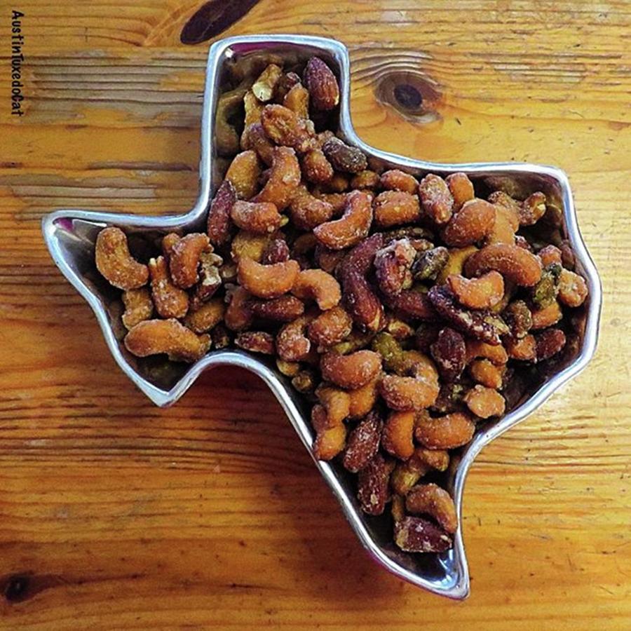 Austin Photograph - Im #nuts About #texas. Happy by Austin Tuxedo Cat