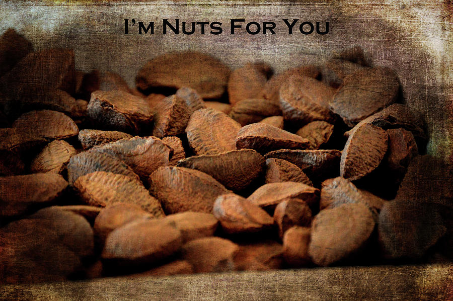 Im Nuts For You Photograph by Lesa Fine