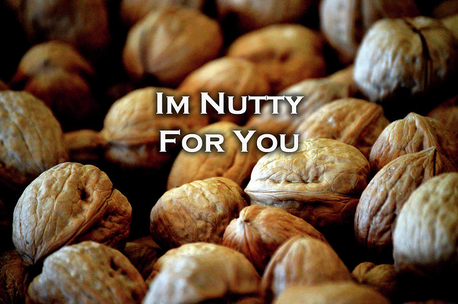 Im Nutty For You Card Photograph by Lesa Fine