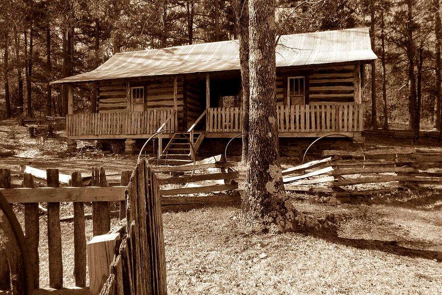 Homestead Log Cabin Photograph By John Myers