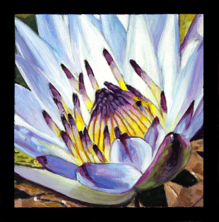 Water Lily Painting - Image Number Three by John Lautermilch