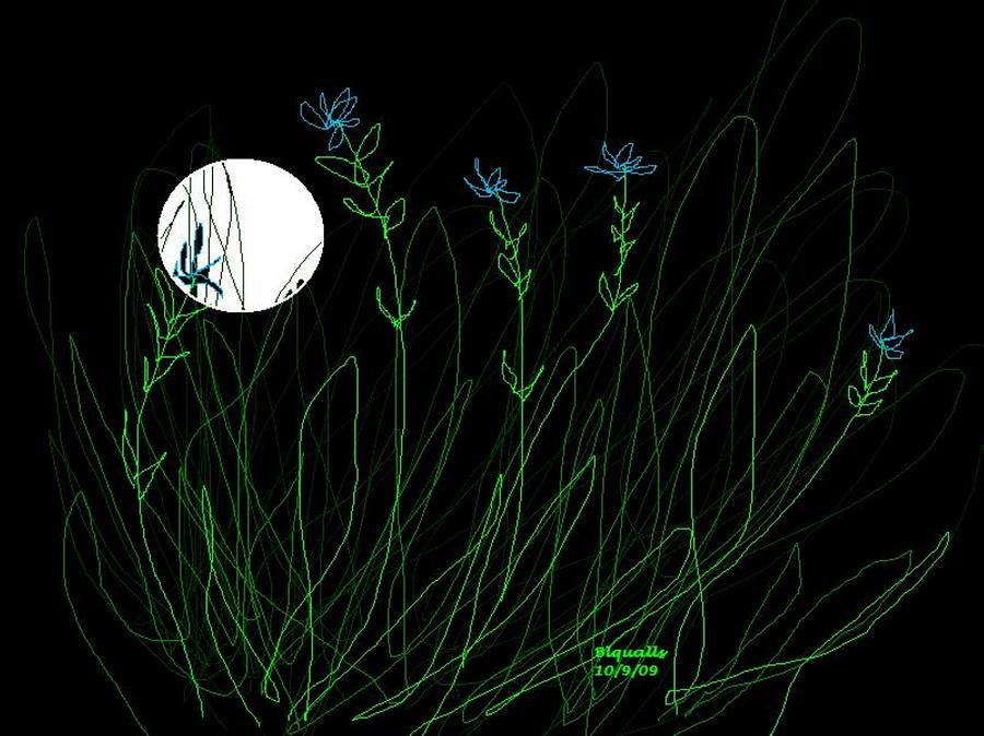 Flower Digital Art - Imaginary Wild Flowers in the Moonlight by B L Qualls
