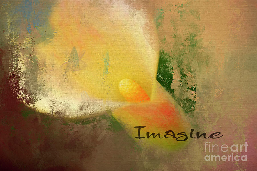 Imagine Calla Lily Abstract Photograph by Darren Fisher