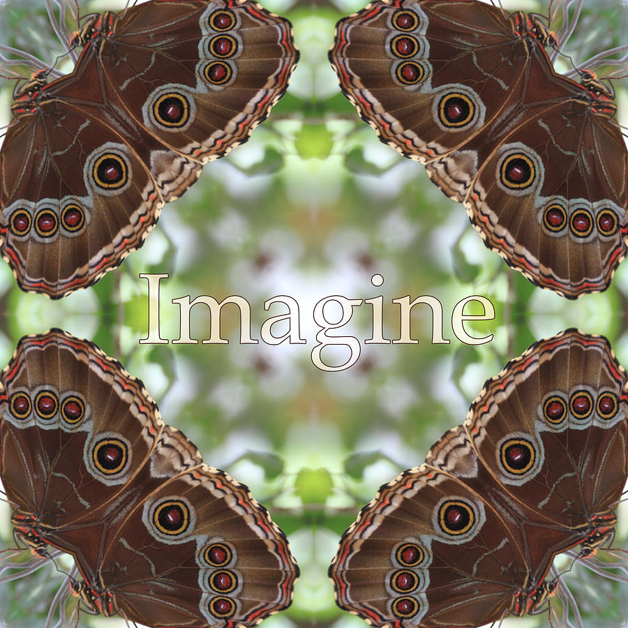 Imagine Photograph by Mary Buck
