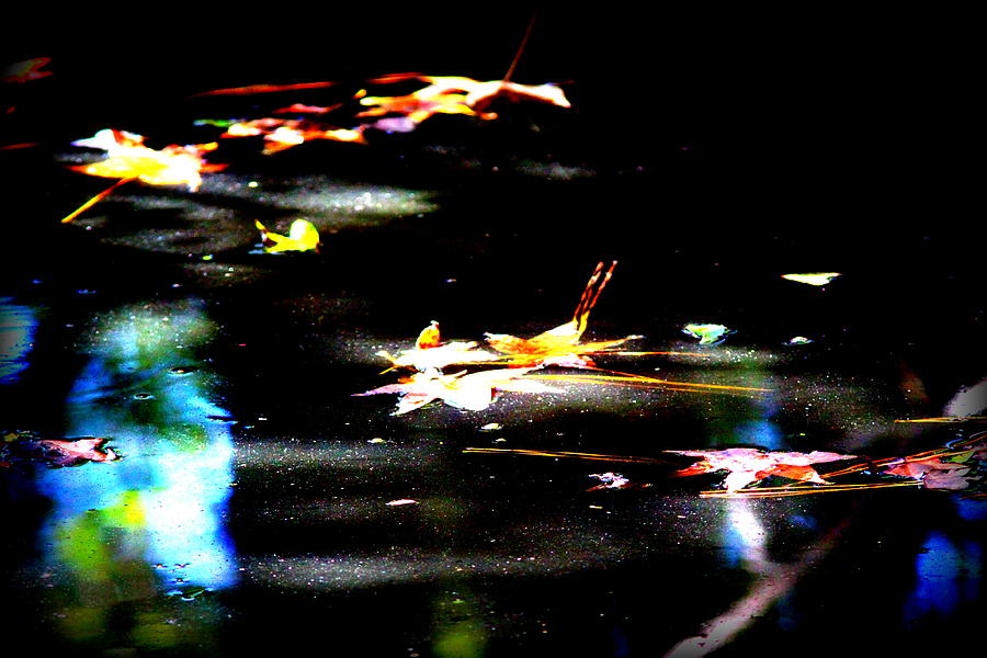 IMG_6713-001 - Leaves on Water Photograph by Travis Truelove