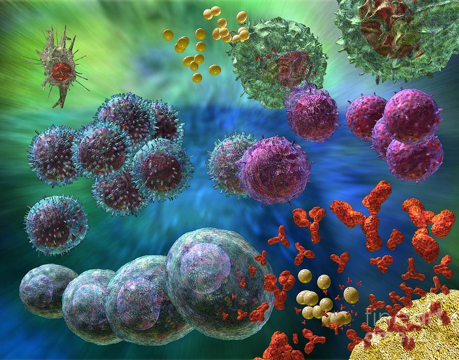 Antibodies Photograph - Immune Response Antibody 4 by Russell Kightley