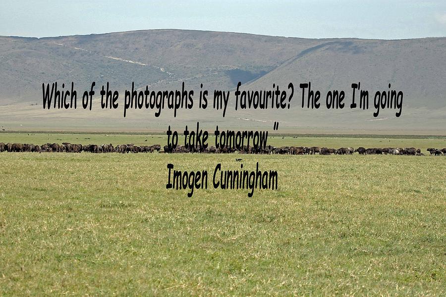 Imogen Cunningham Quote Photograph by Tony Murtagh