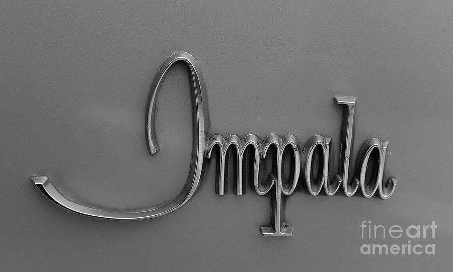 Impala 4827 Photograph by Ken DePue