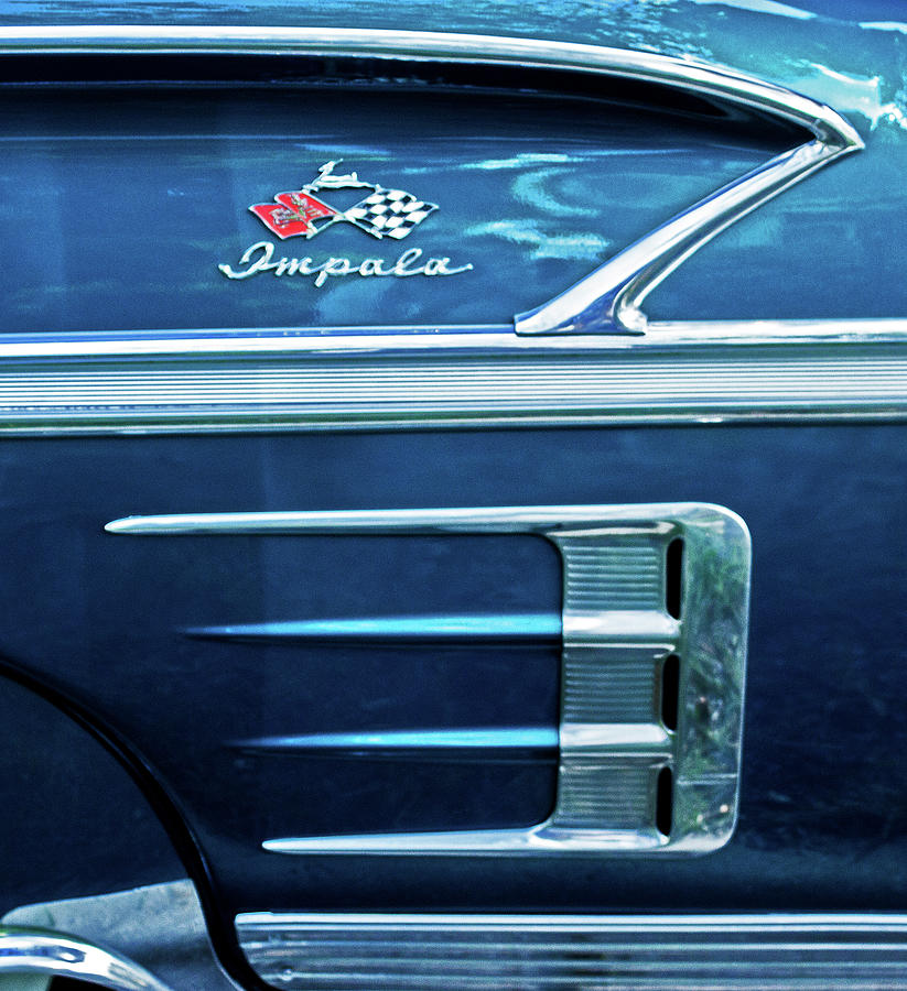Impala Detail Photograph by Ira Marcus