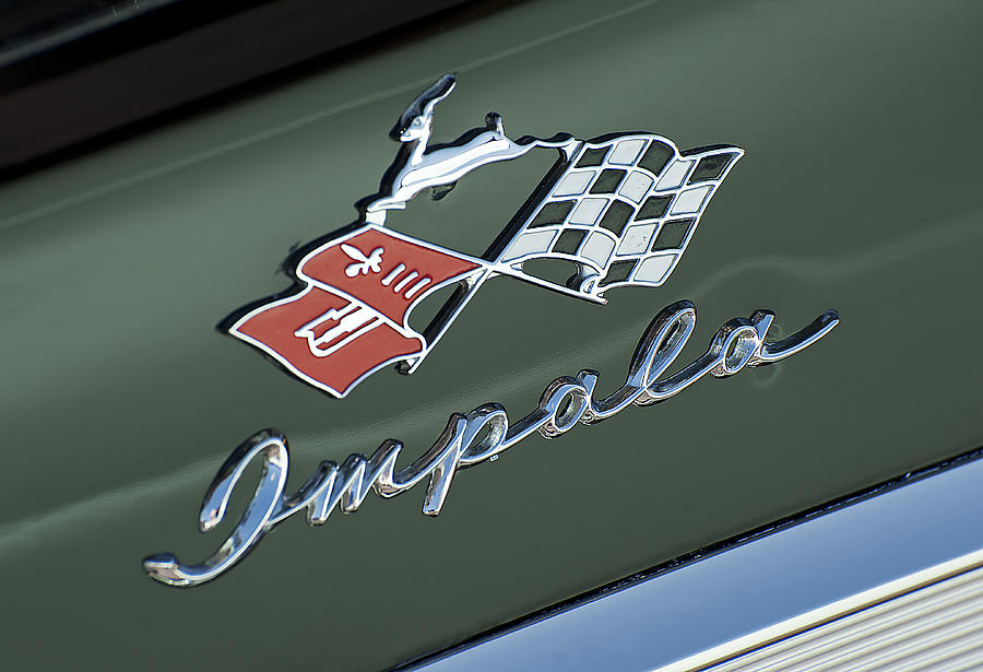 Impala Photograph by Doug Davidson