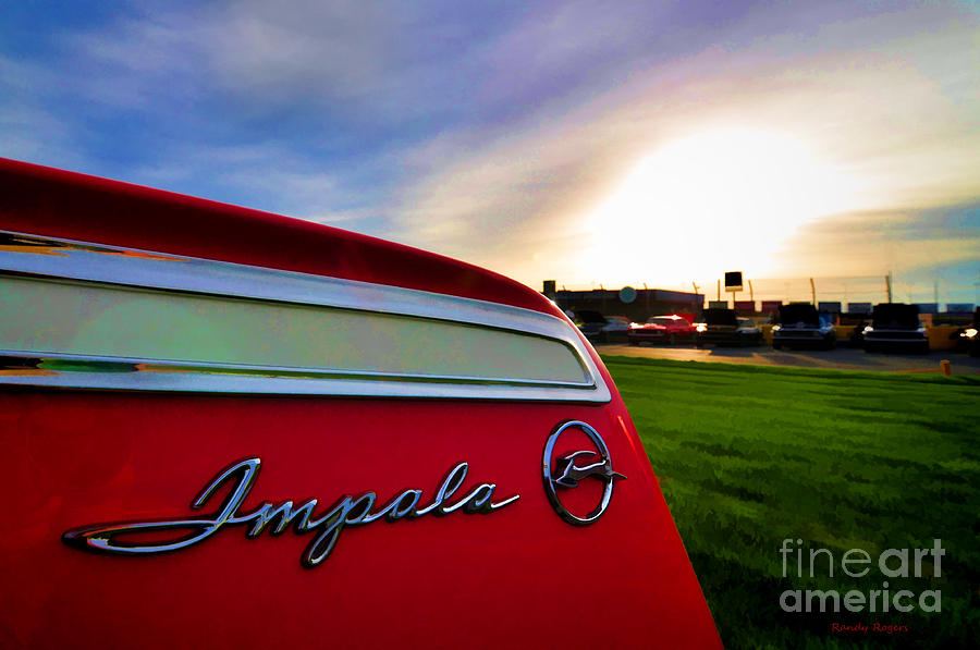 Impala Sunrise Photograph by Randy Rogers
