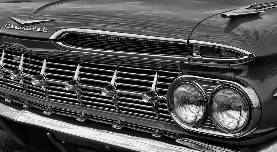 Impala Photograph by Vic Montgomery
