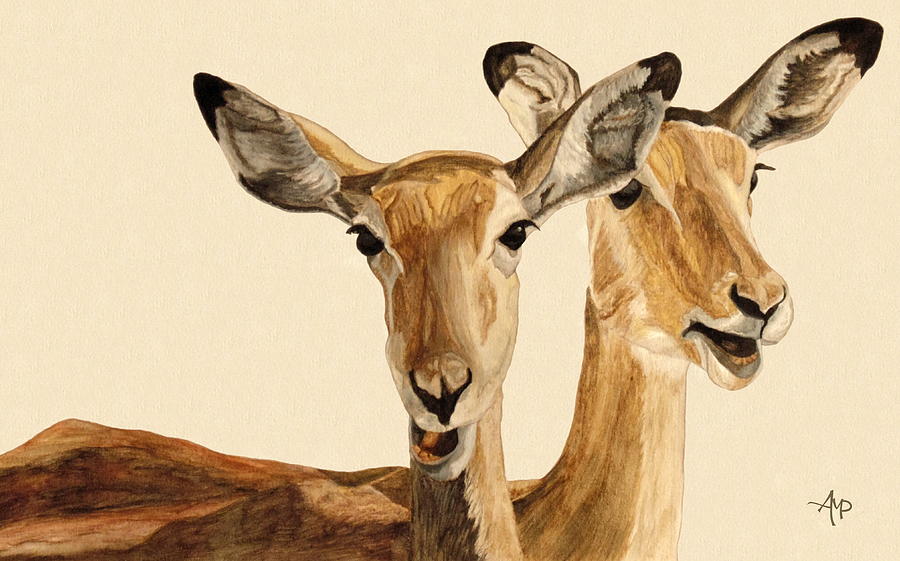 Impalas watercolor Painting by Angeles M Pomata
