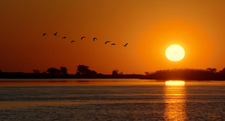 Impalila Island Sunset No. 1 Photograph by Joe Bonita