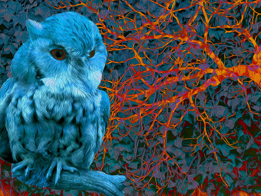 Owl Photograph - Impasse 32 by Lynda Lehmann