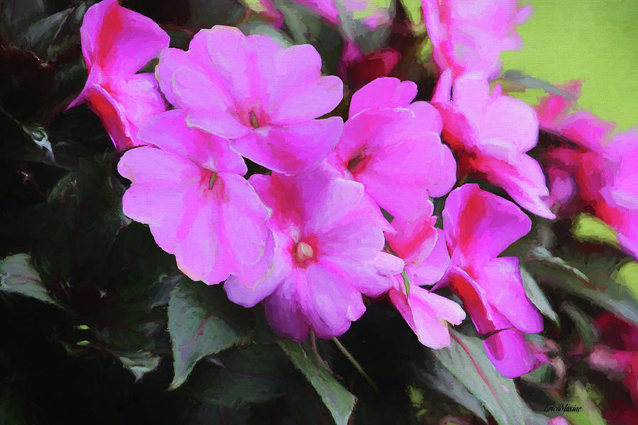 Impatiens 8485 - Painted Painting by Ericamaxine Price